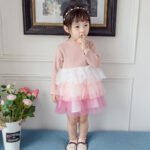 New Korean Style Mesh Princess Dress
