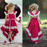 Lace child small flying sleeves short short long dovetail dress