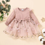 Girls' Fashion Simple Embroidered Mesh Dress